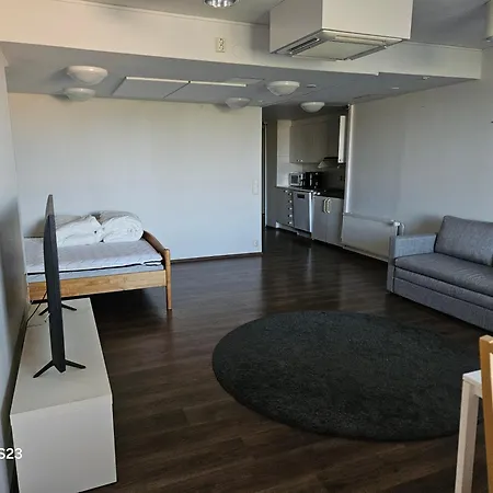 Apartment Kattohuoneisto *